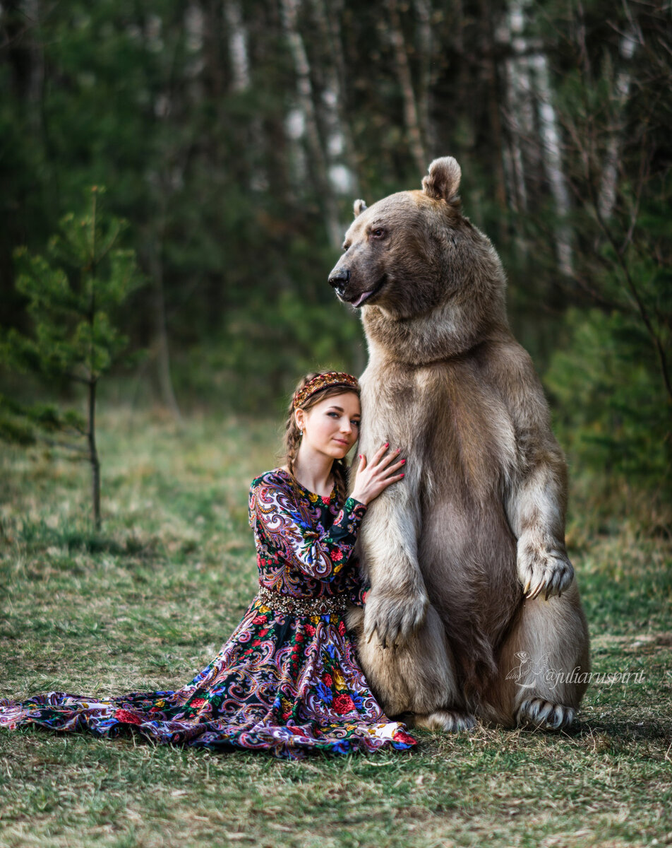 Медведь Степан Шапша