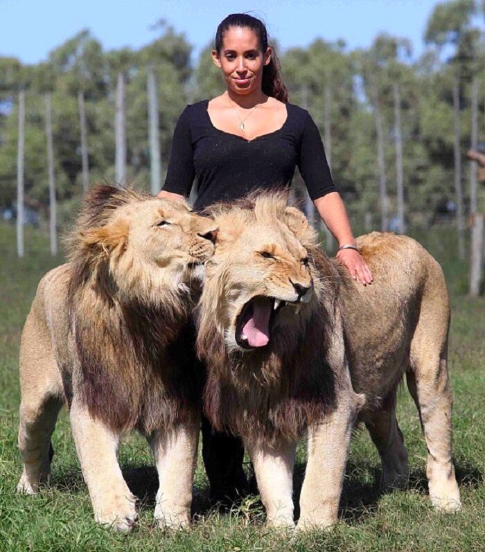 Изображение взято из свободных источников 