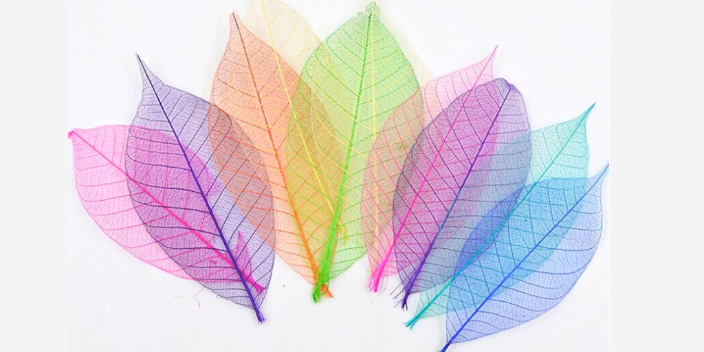 окрашенные листья