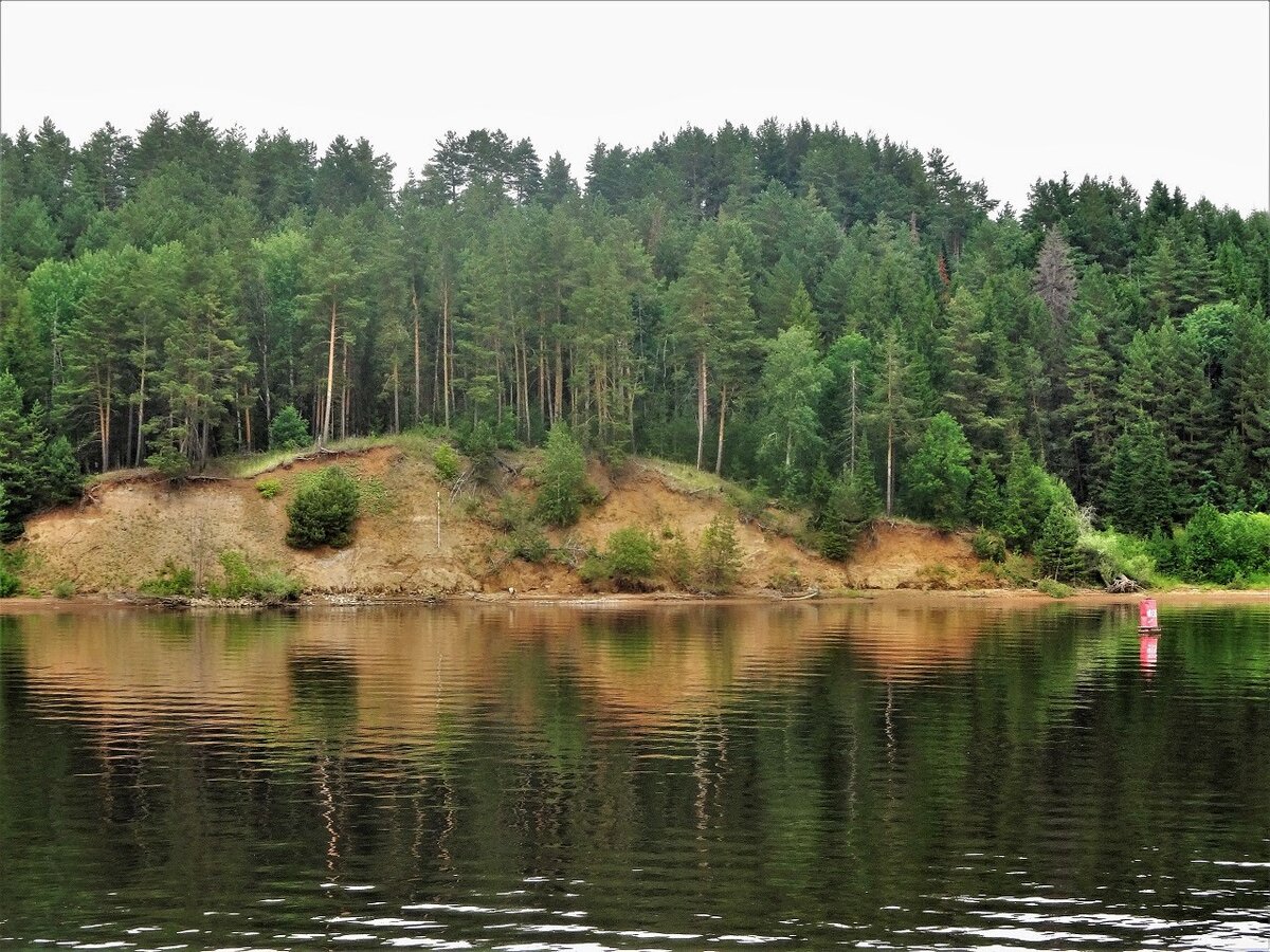 Берега Камы на территории Удмуртии