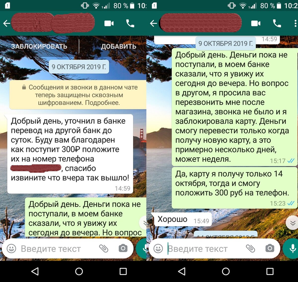 Скрины переписки