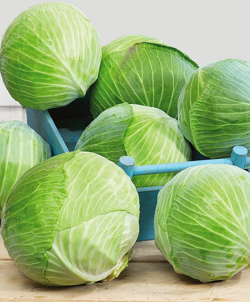 Ценный диетический продукт.