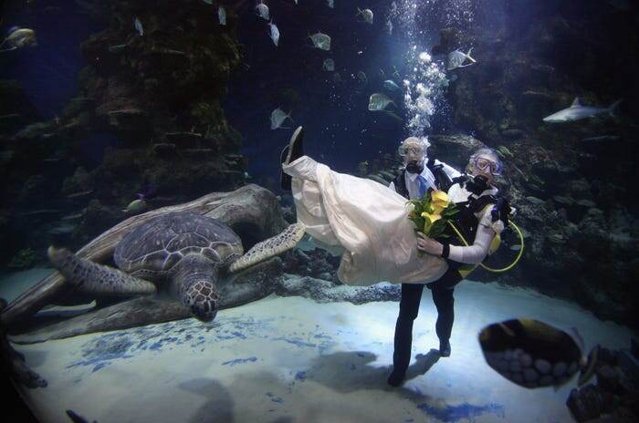 Источник: https://www.insider.com/unconventional-wedding-ideas-photos-adventurous-2019-1#in-november-2017-another-thrill-seeking-couple-took-their-wedding-to-new-heights-4