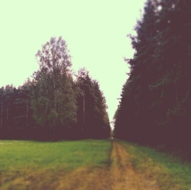 Лесная дорога