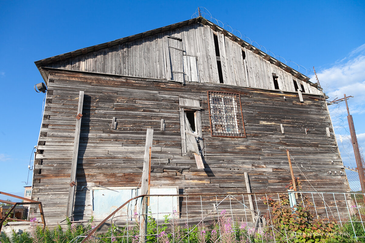 лабытнанги зона ик-8. режим поселения. фку ик 31 микунь. осужденные к лишению свободы. режим поселения.