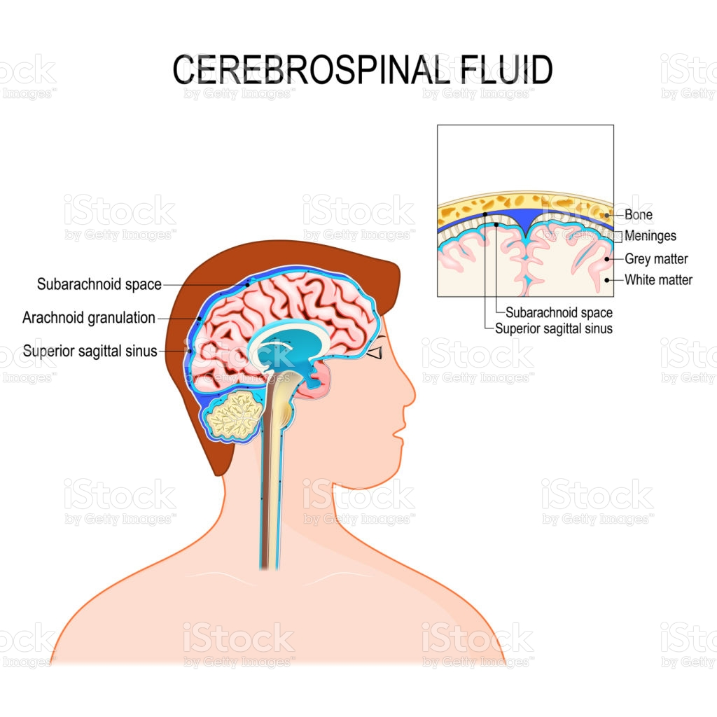 картинка взята из интернет источника