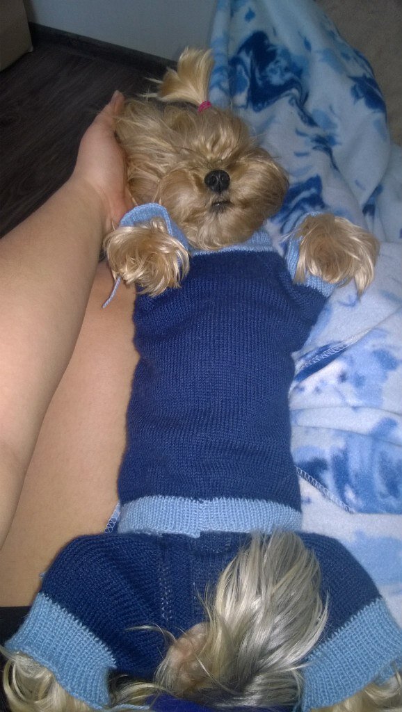 Вот костюм с сердечками полностью на Диас. Животик закрыт, чтобы очень тепло было. Есть только отверстие для хвоста и всяких физиологических потребностей.