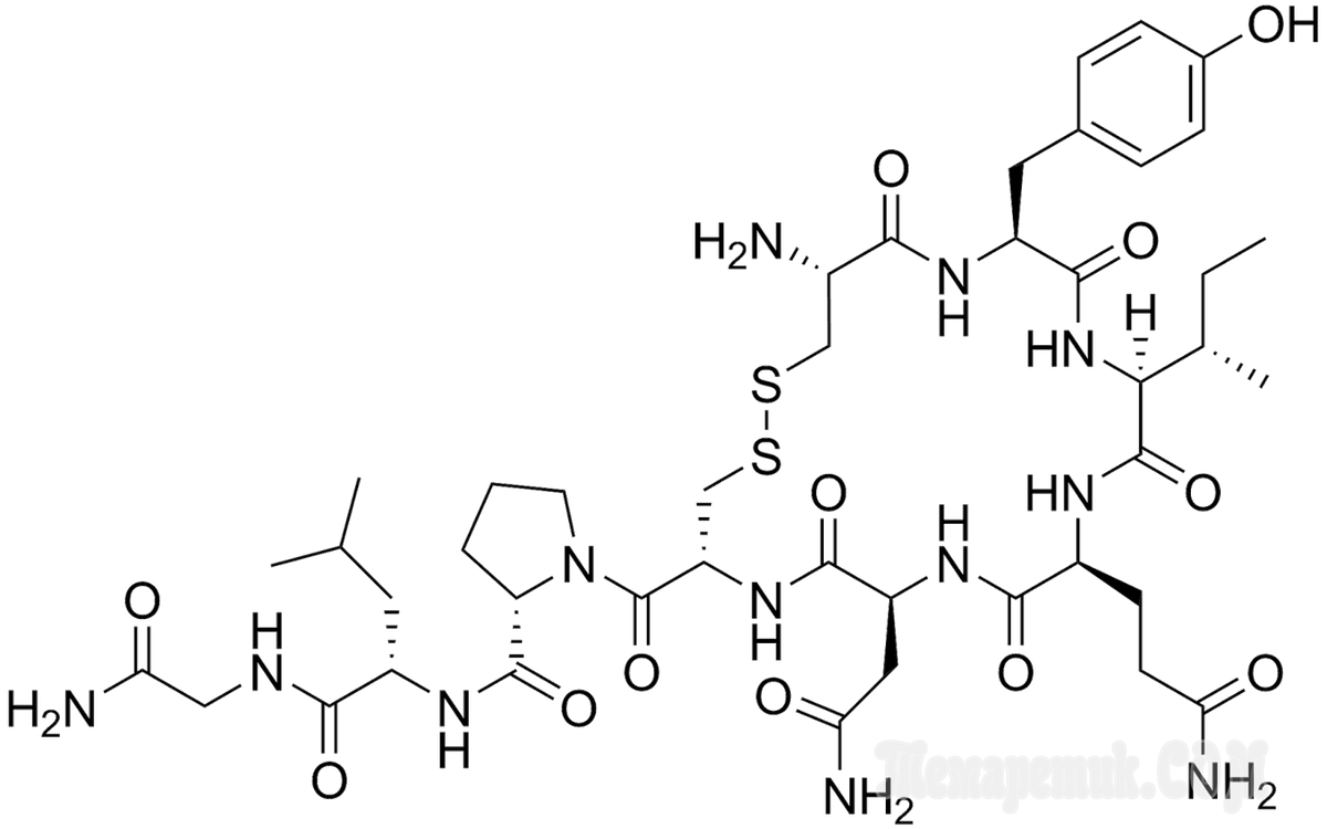 тут показана химическая реакция (могу ошибаться, я не особо хорошо знаю химию) картинка взята с открытого источника.