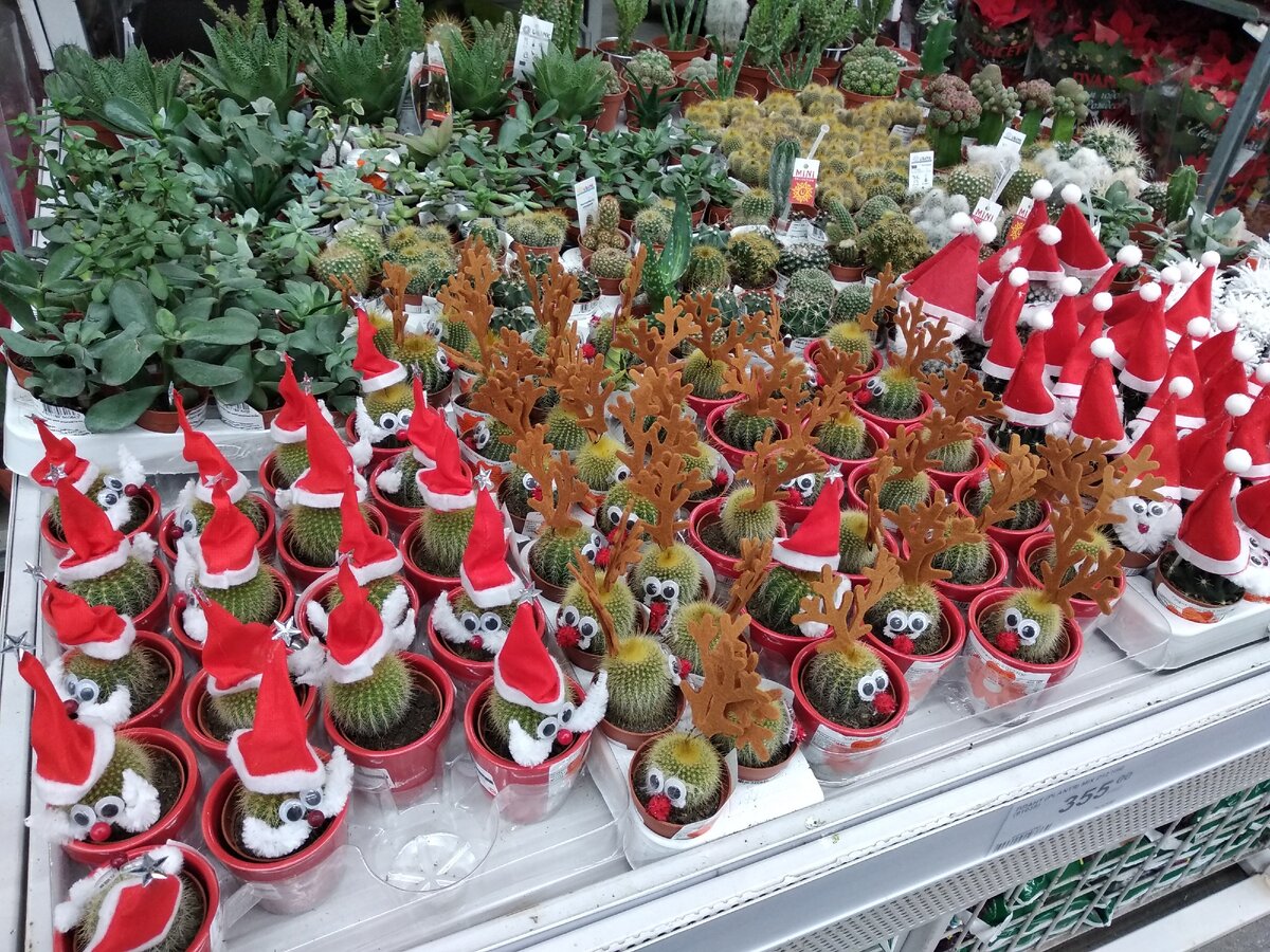 Ну, как пройти мимо такой милоты!