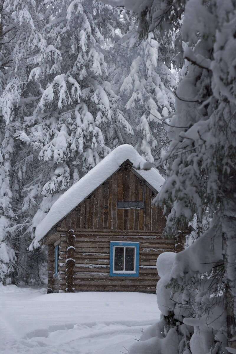 Современное зимовье