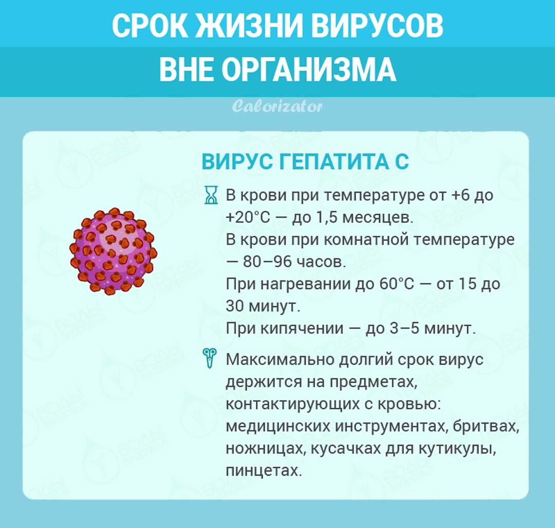 Срок жизни различных вирусов вне организма | Calorizator.ru | Дзен