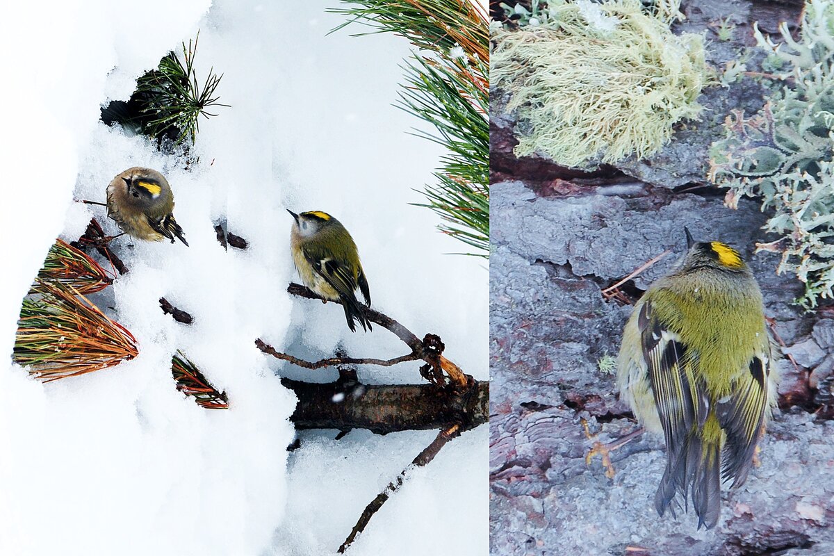 �&nbsp;������ ��������� ��������� ����� ������� �����. ����� 8-9 ����� ����, �&nbsp;������� ������, ��� ��&nbsp;����� ��&nbsp;����������!-4-2