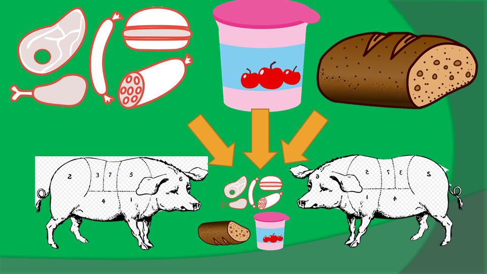 просроченные продукты для животных
