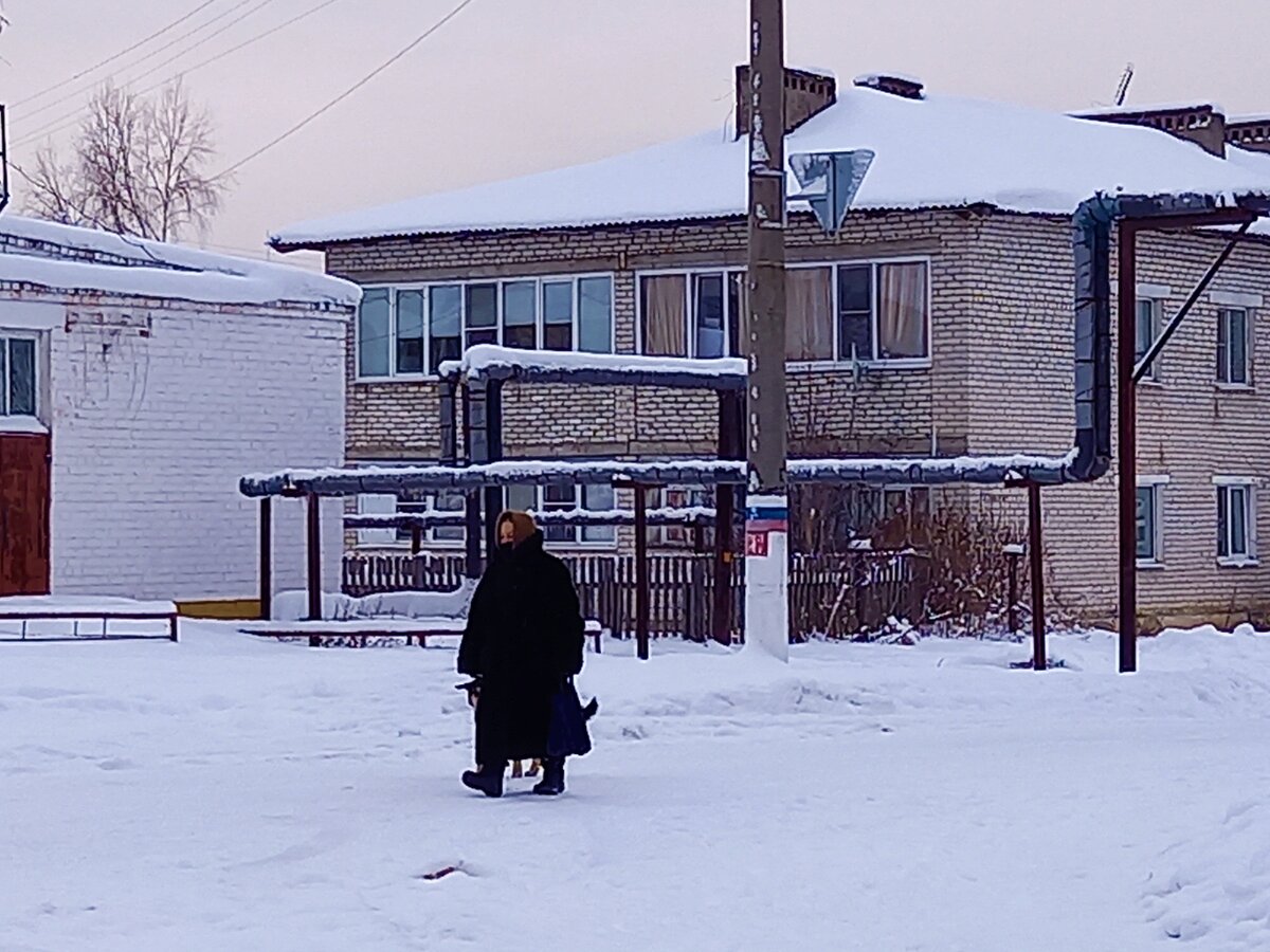 Погода килемары марий эл. Килемары Марий Эл. Килемары Санчурск. Численность населения в Килемарах. Приют для животных посёлок Килемары Марий Эл.