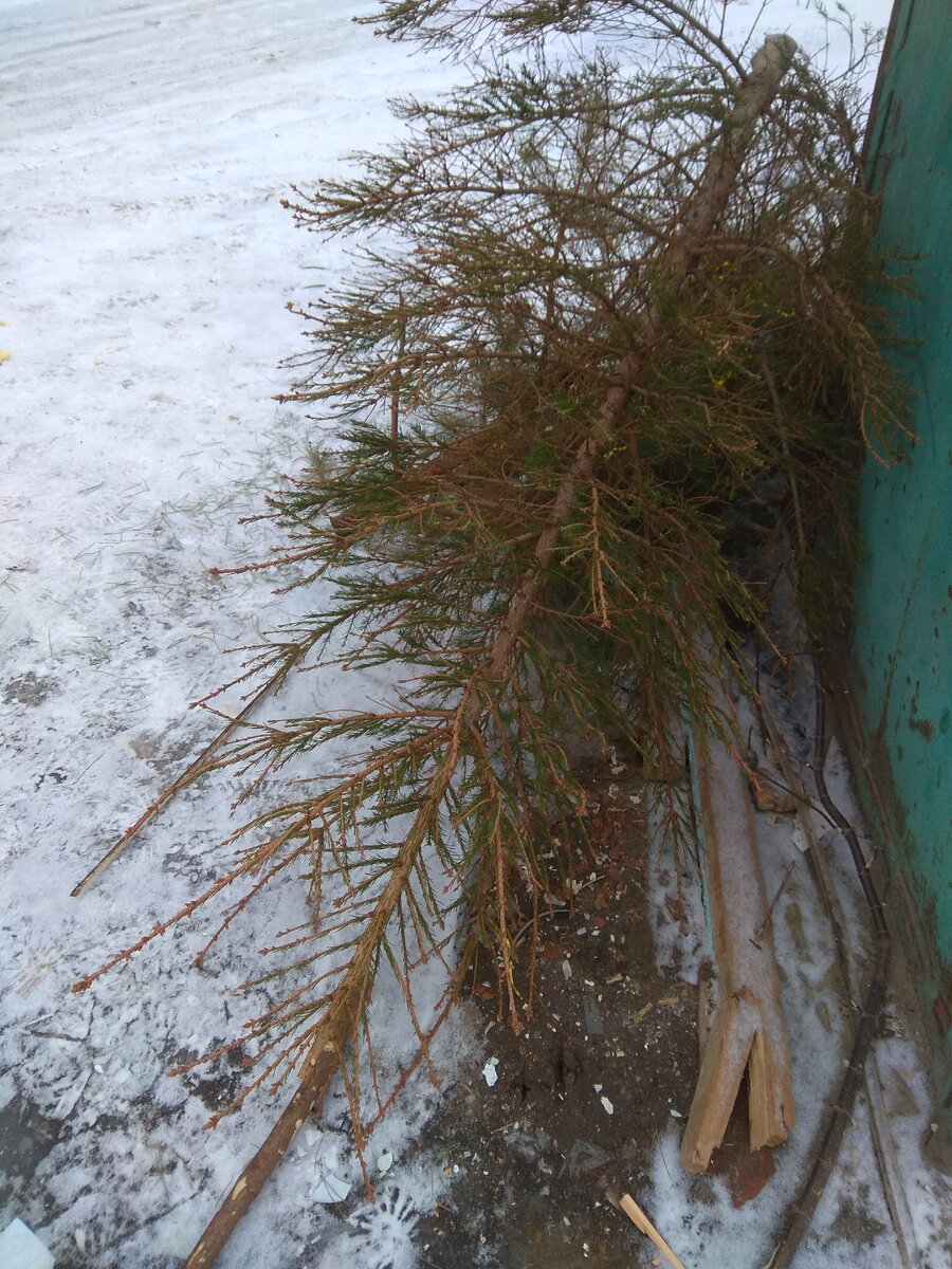 Примерно такое. Но дело было летом.