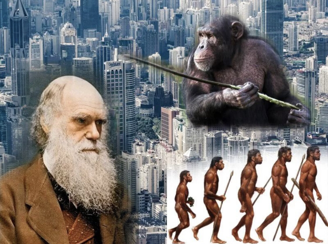 Процесс превращения человека в обезьяну. Человек среди обезьян. Превратиться в обезьяну. Цивилизация обезьян.