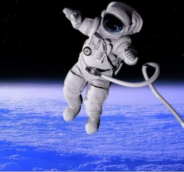 фото из интернета