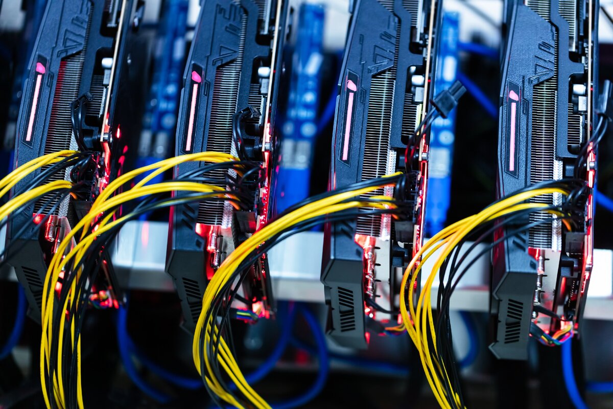 Платная подписка Envato Elements.