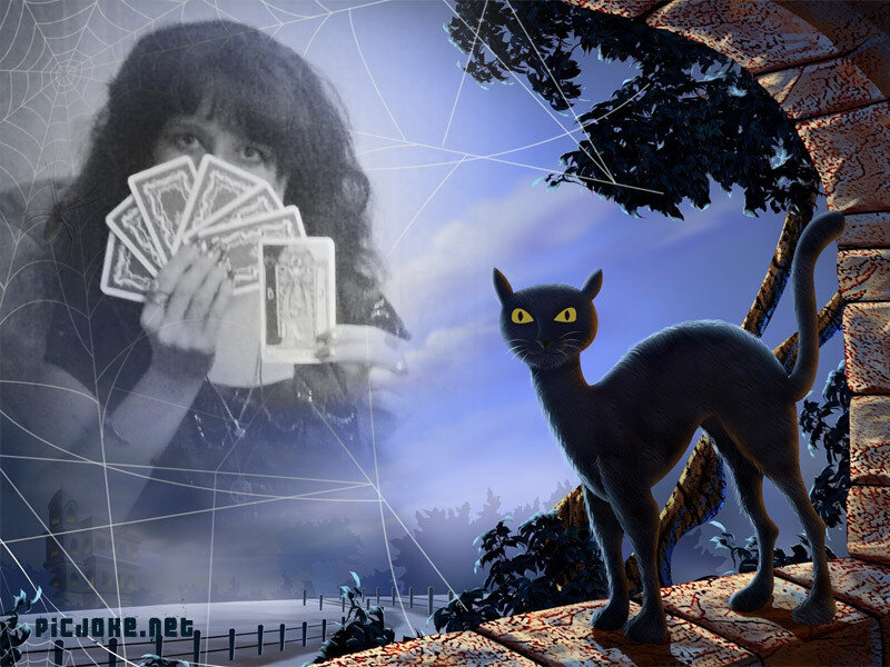 Заявки на консультацию вы можете направить по адресу электронной почты: assenatas@mail.ru