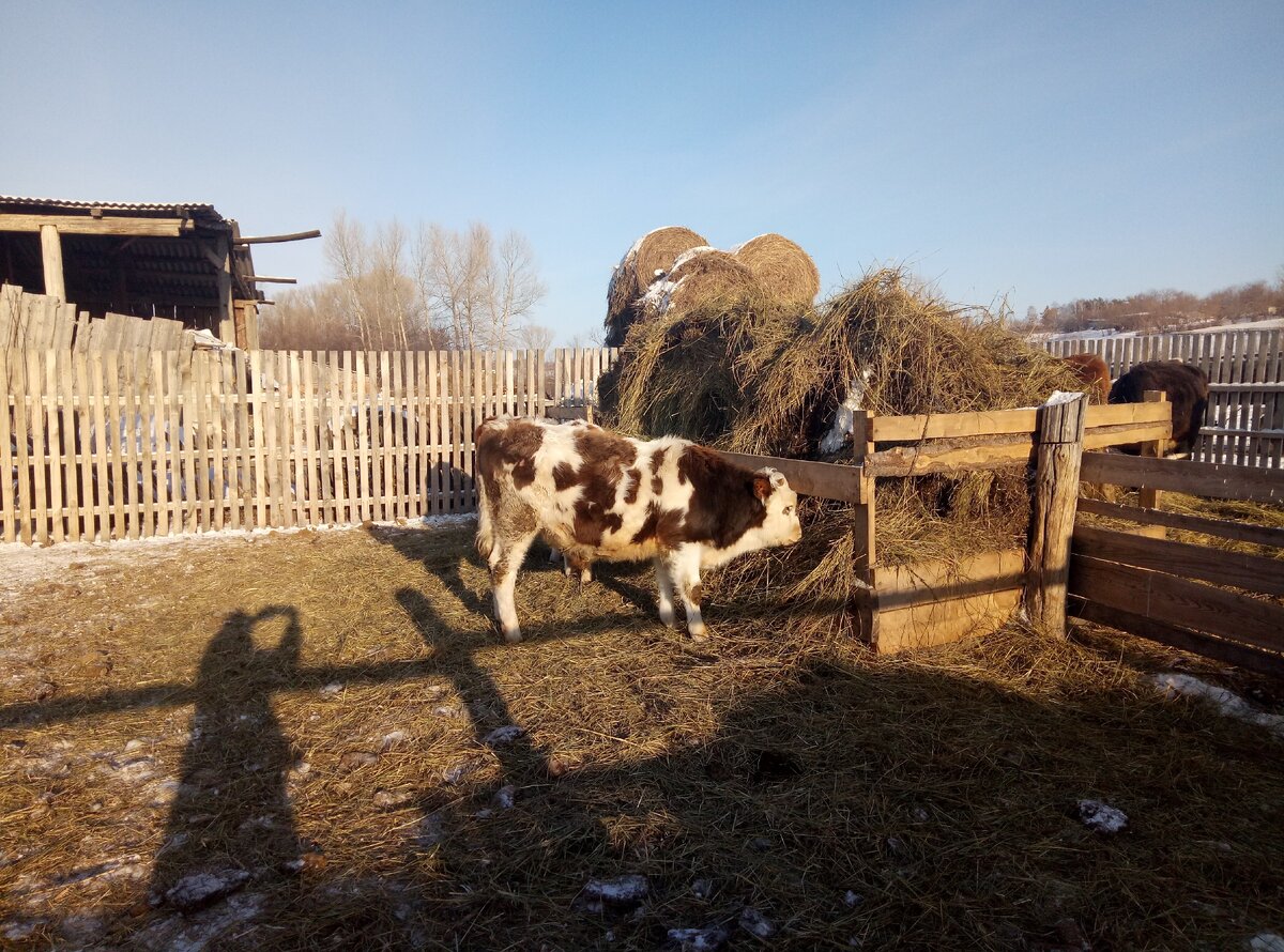 Наша сынулик кушает.