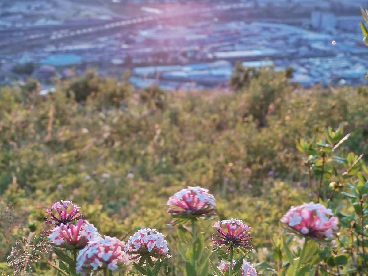 Это фото я делала на рассвете несколько месяцев назад. Начало дня - самое время, чтобы понять, чего от этого дня хочешь.