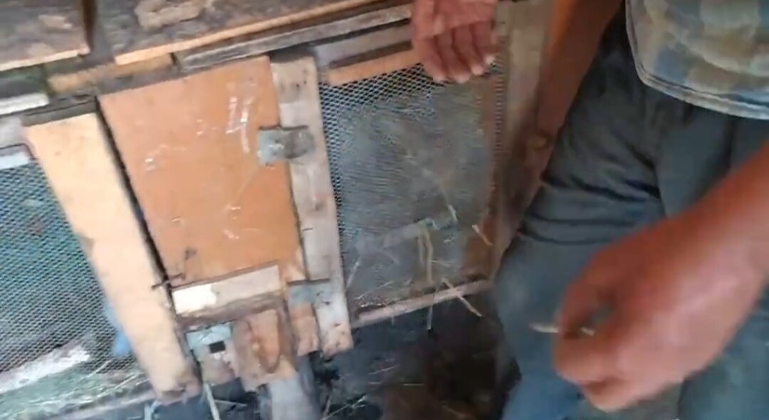 Клетки для кроликов.