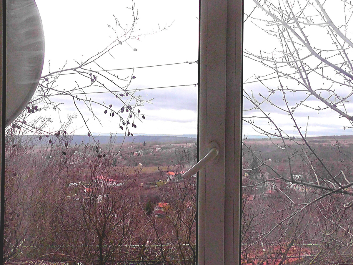 Зимний пейзаж, вид из окна террасы сегодня, 24 января. Фото автора.