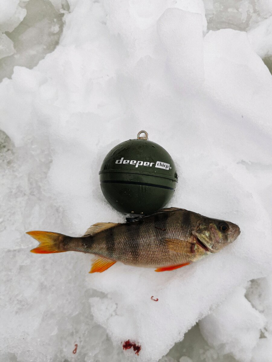 Фото: Fishing Tales 