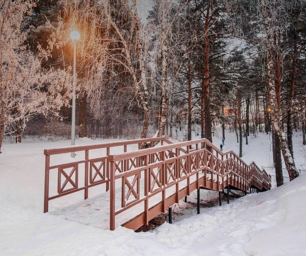 Гилевская роща тюмень зима. Гилевская роща детская площадка. Лесопарк «гилевская роща». Гилевская роща летом тюмень. Гилевская роща летом тюмень.