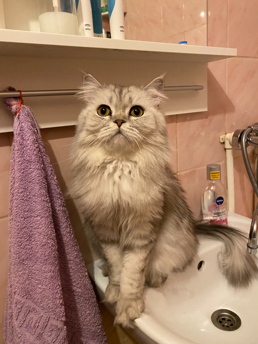 Что же это такое?