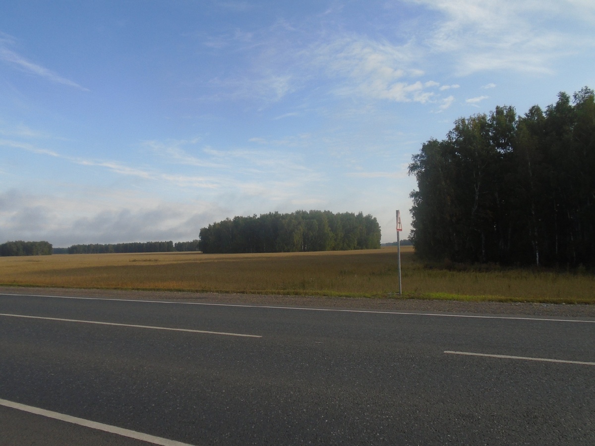 Дорога до Новосиба.