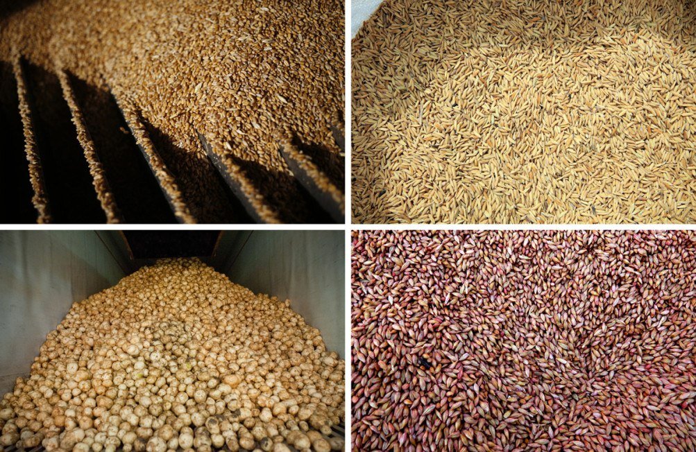 Повышение концентрации углекислого газа в атмосфере вызывает снижение количества белка в таких пищевых культурах, как рис, пшеница, ячмень и картофель. Неизвестно, как это может отразиться на здоровье человека.