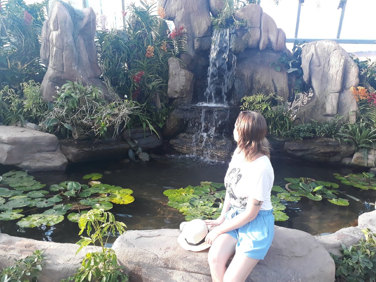 А вы хотели бы уехать жить в другую страну? 