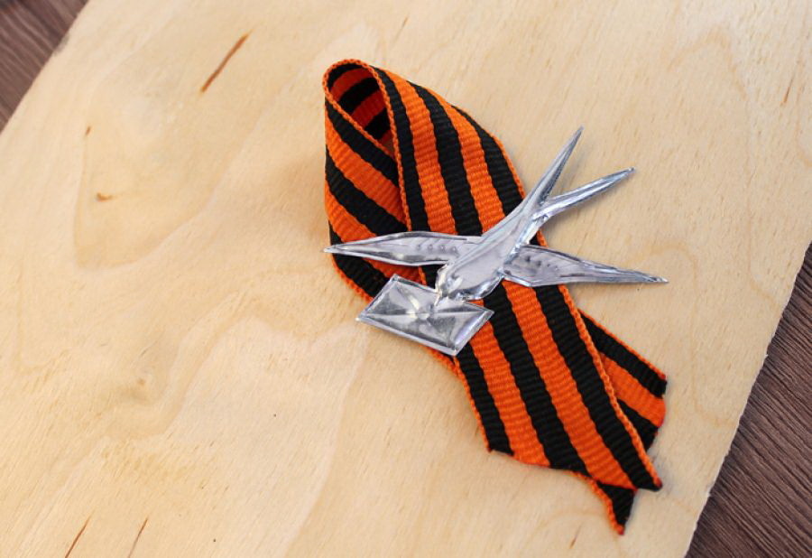 сти молодежь поддержала «Блокадную ласточку»