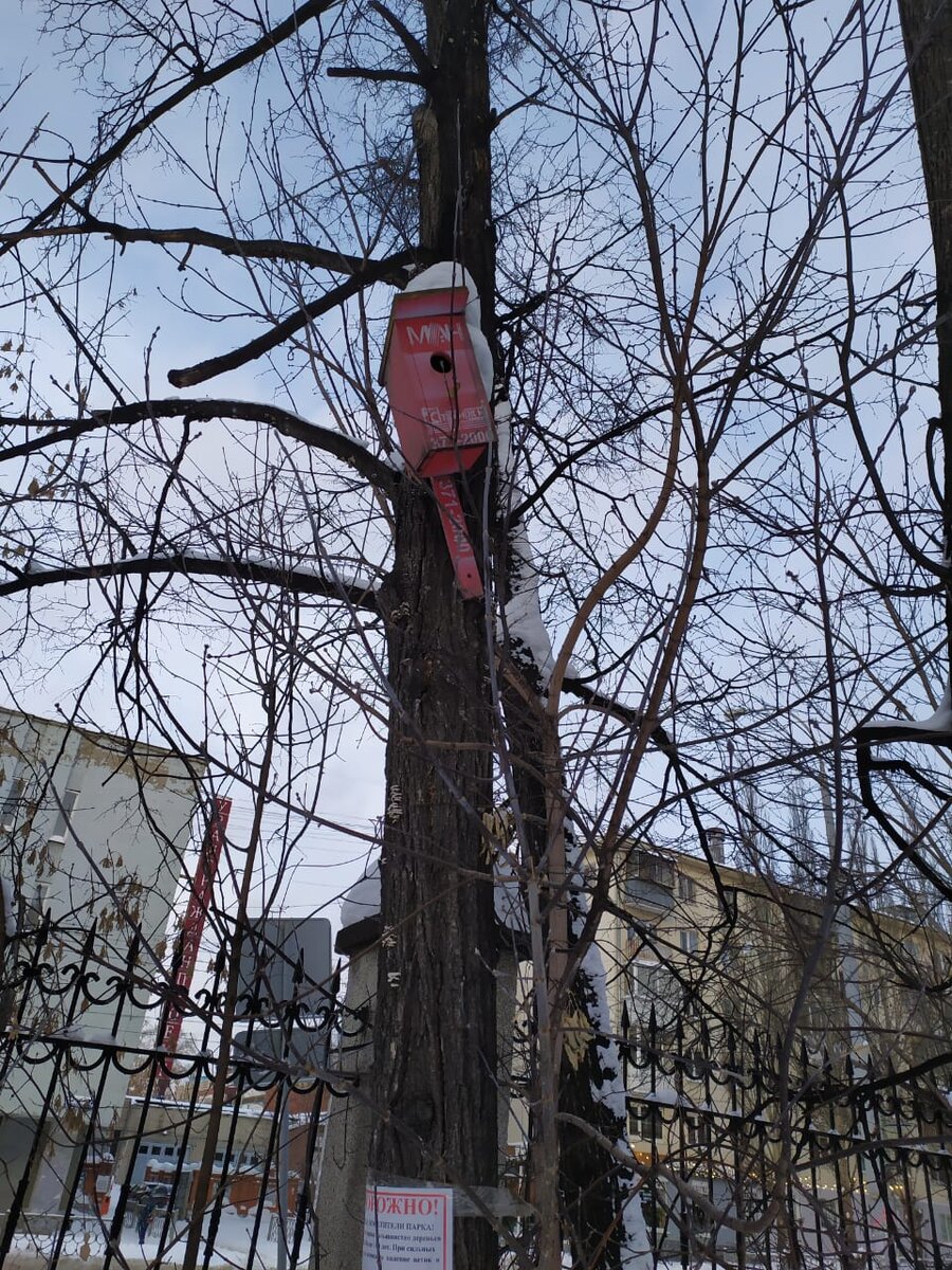 1 кормушка 
