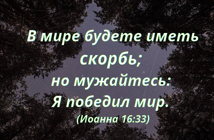 Вот что на самом деле обещал Христос Своим ученикам