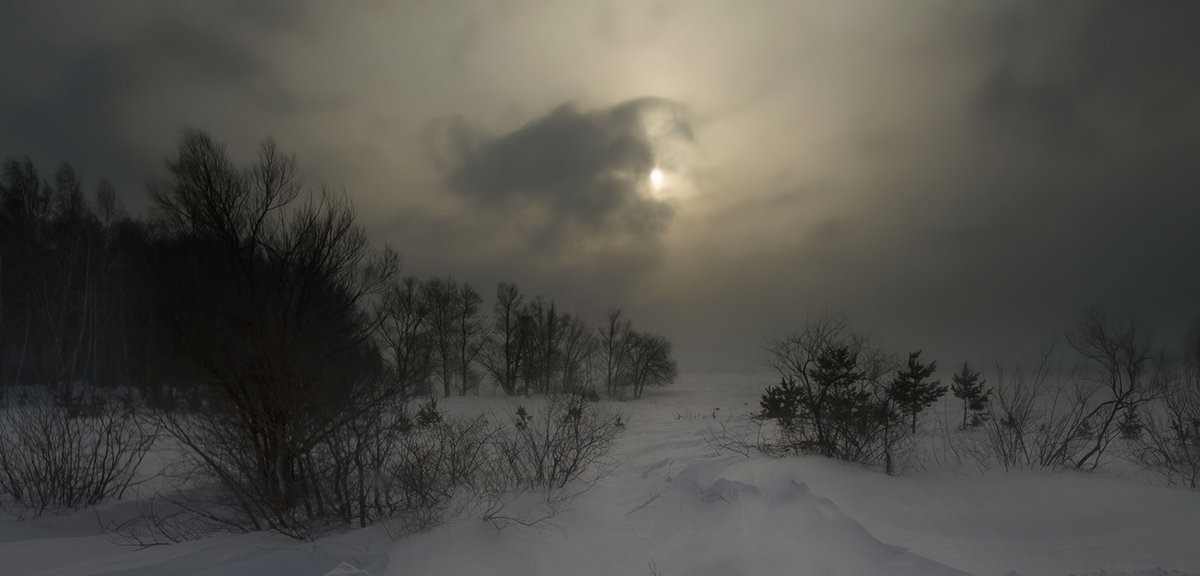 фото сайта yandex.ru