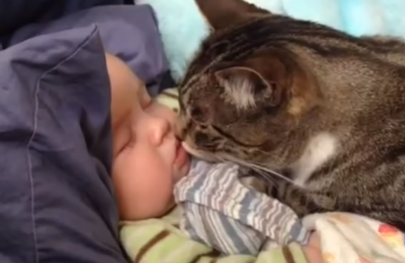 Лучшие друзья