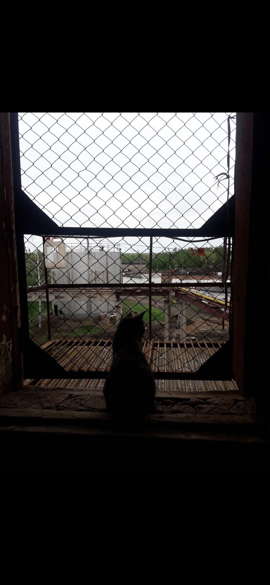 Лиза, непосредственно за работой) 