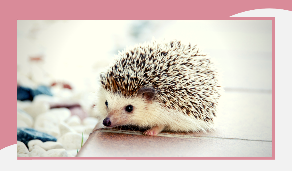 Фотография  из свободных источников