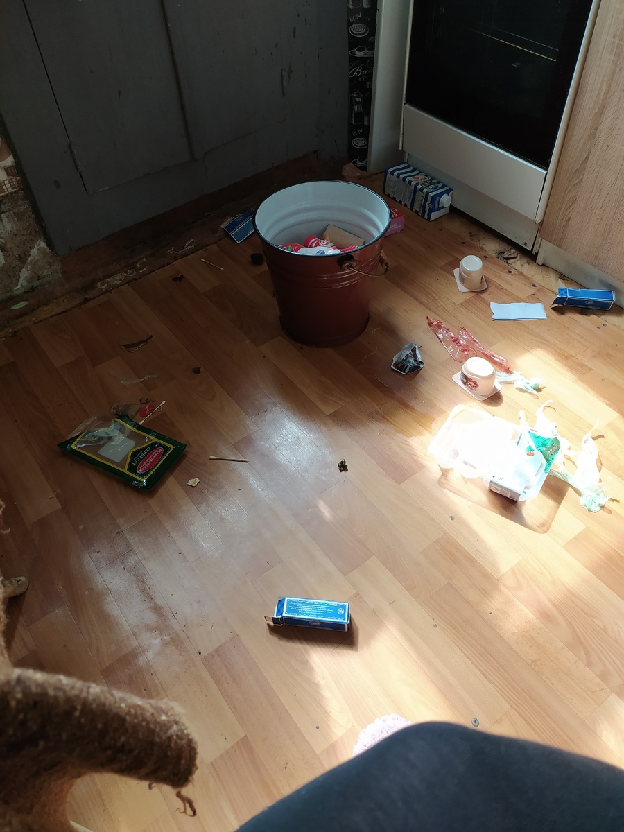 Мама тогда ругалась за беспорядок, а батя заставил каждую мусоринку лапками подбирать и в ведро складывать