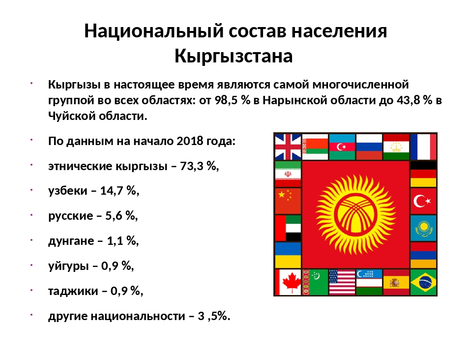 Национальными странами являются. Этнический состав Кыргызстана. Этническая структура населения Кыргызстана. Национальный состав Киргизии. Население Кыргызстана национальный состав.