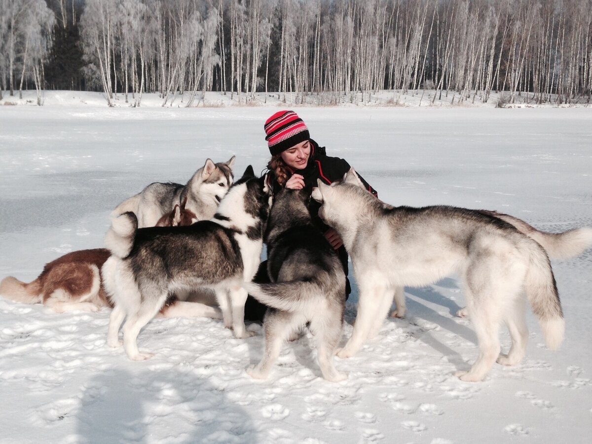 Ну, и собак, конечно же)))