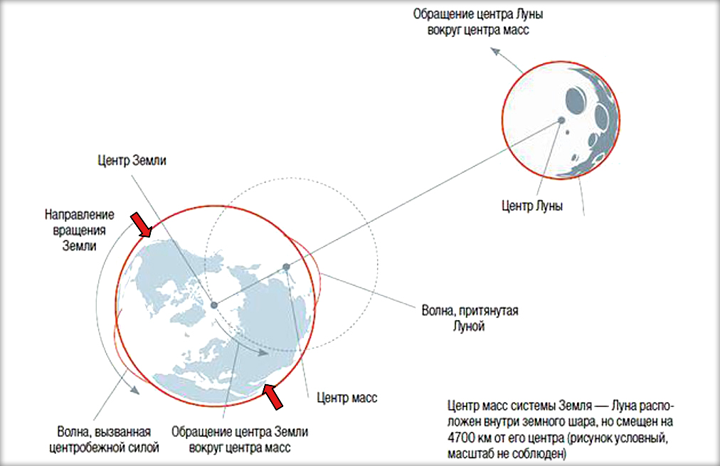 Направление луны и земли. Схема связи между землей и луной. Общий центр масс земли и Луны. Система земля Луна схема. Вращение земли и Луны вокруг центра масс.