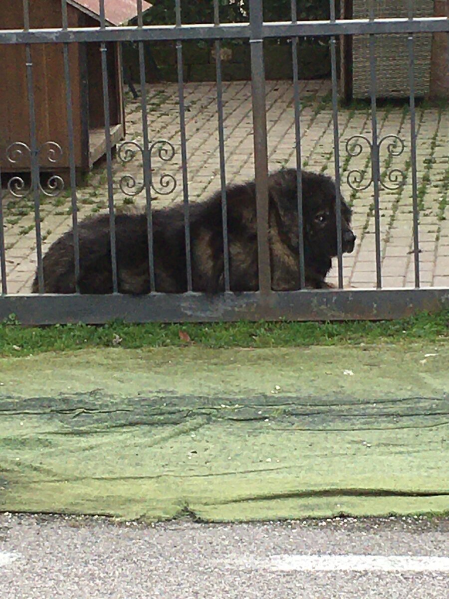 Это он и есть. Фото автора