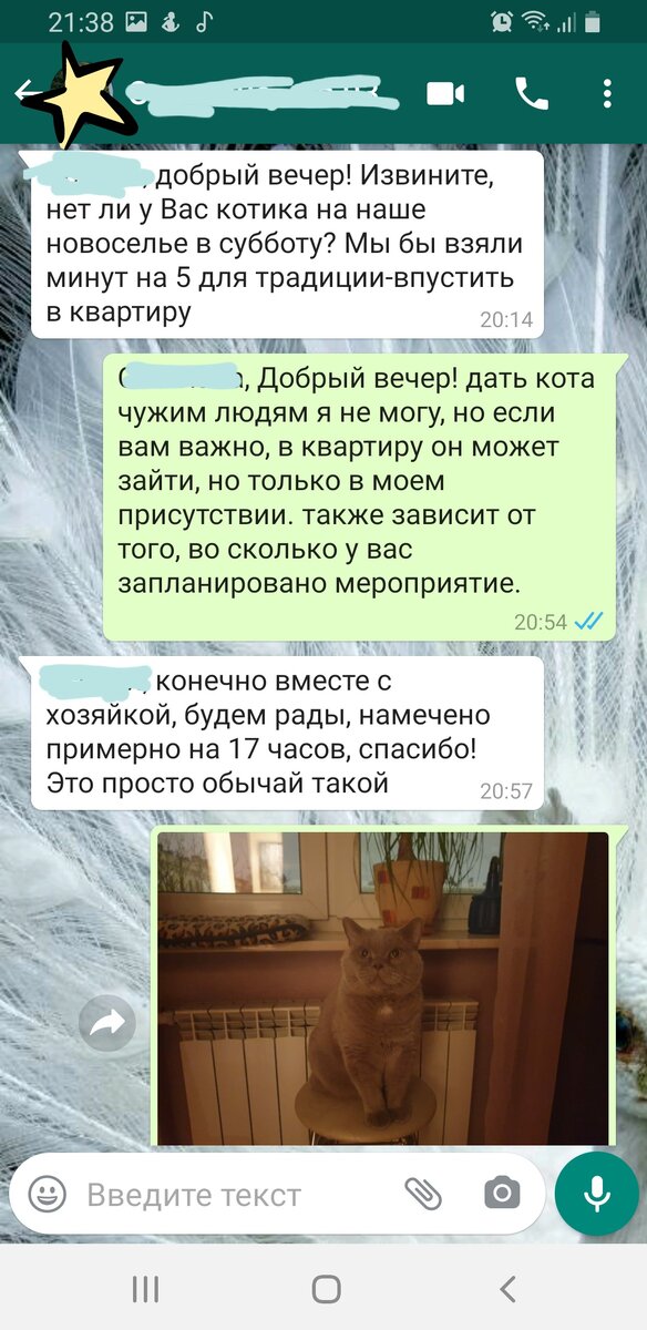 скрин переписки