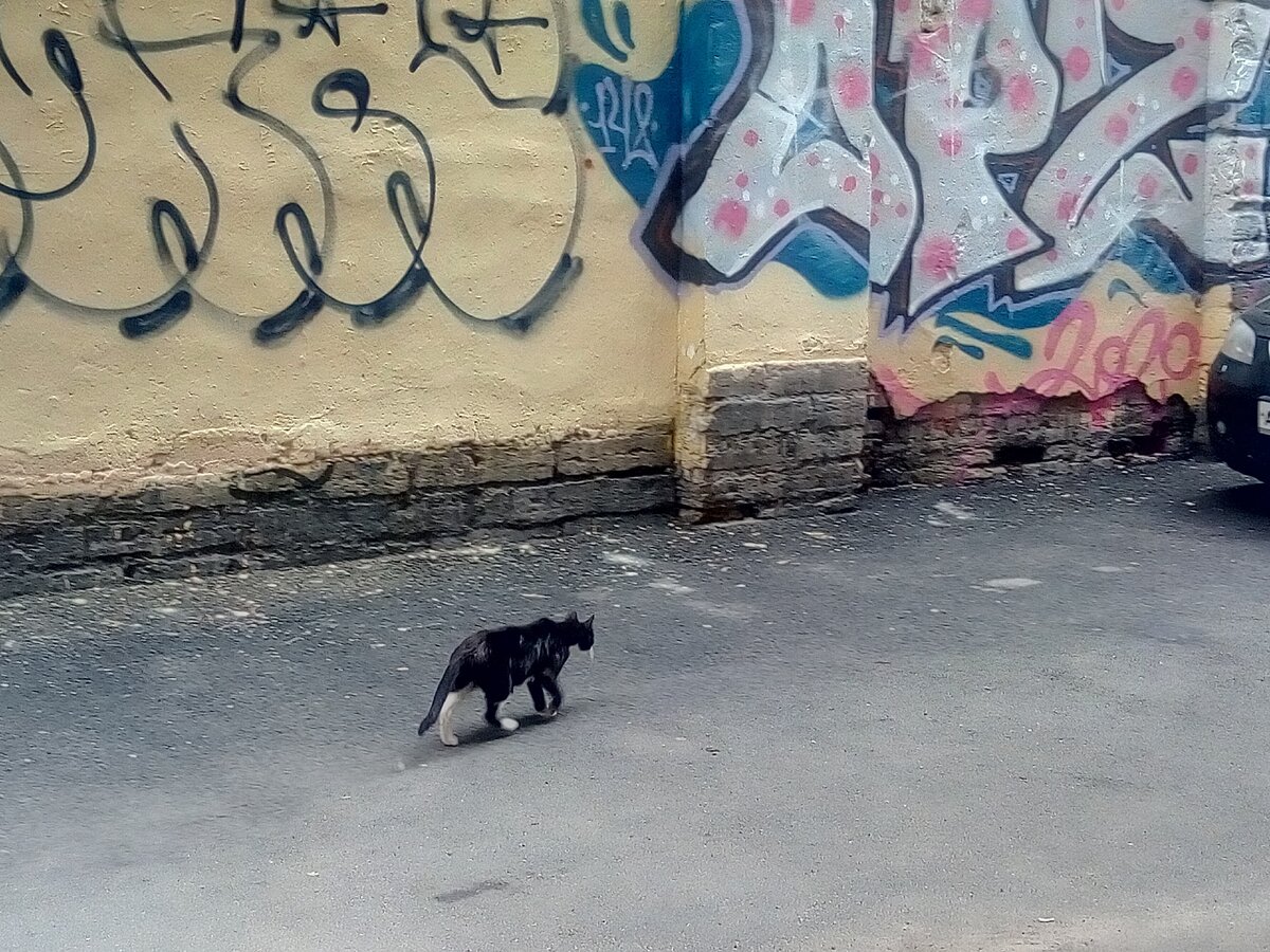 Фото автора