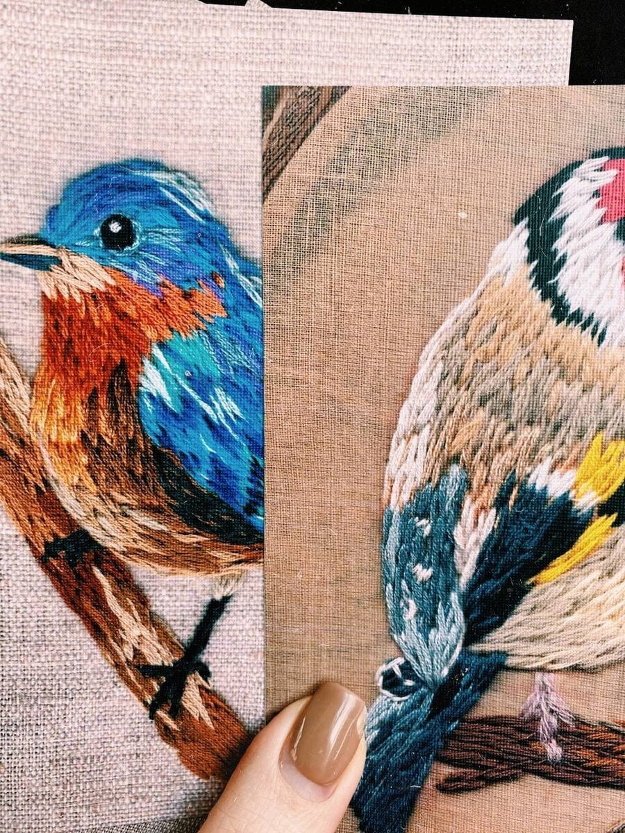 Варакушка и щегол. У щегла даже краешек пяльцев видно!