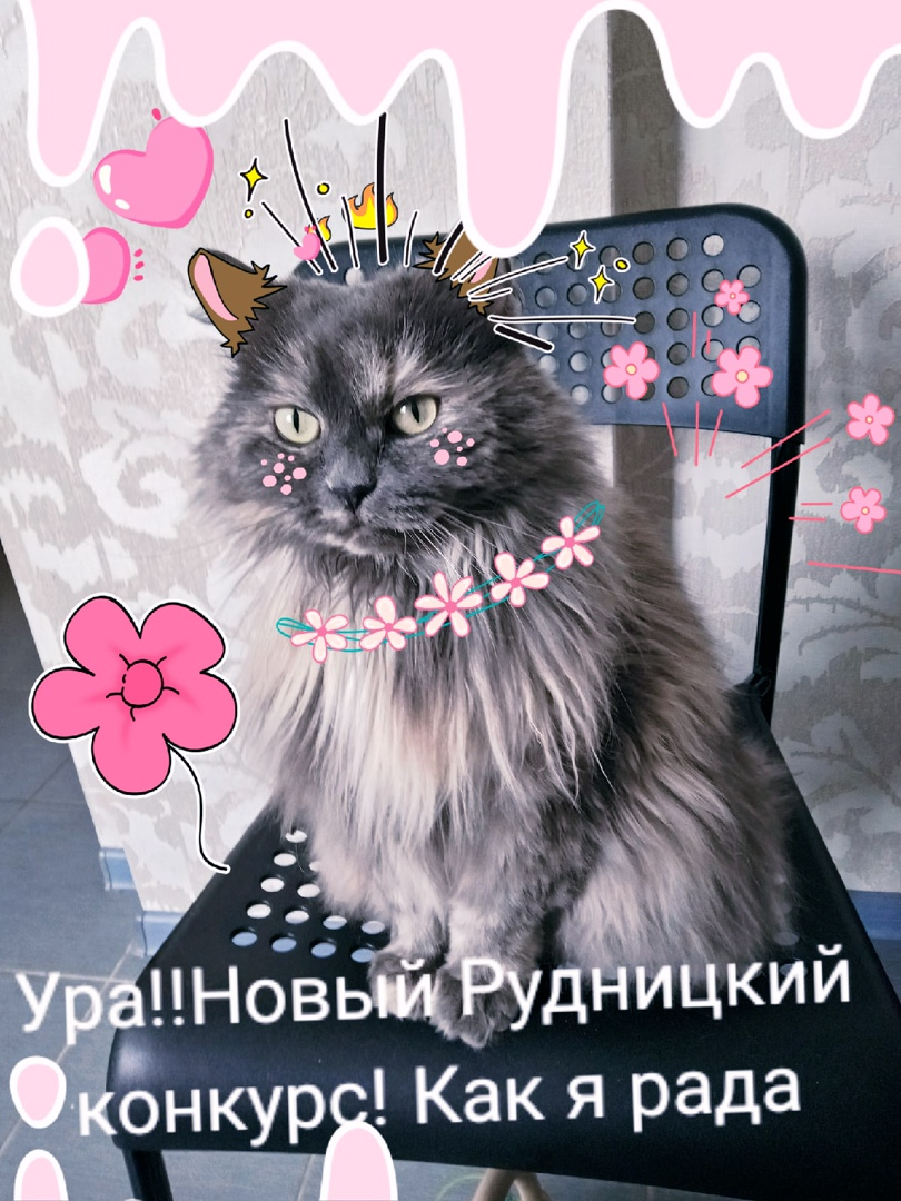 Брунхильда обожает новые движухи)