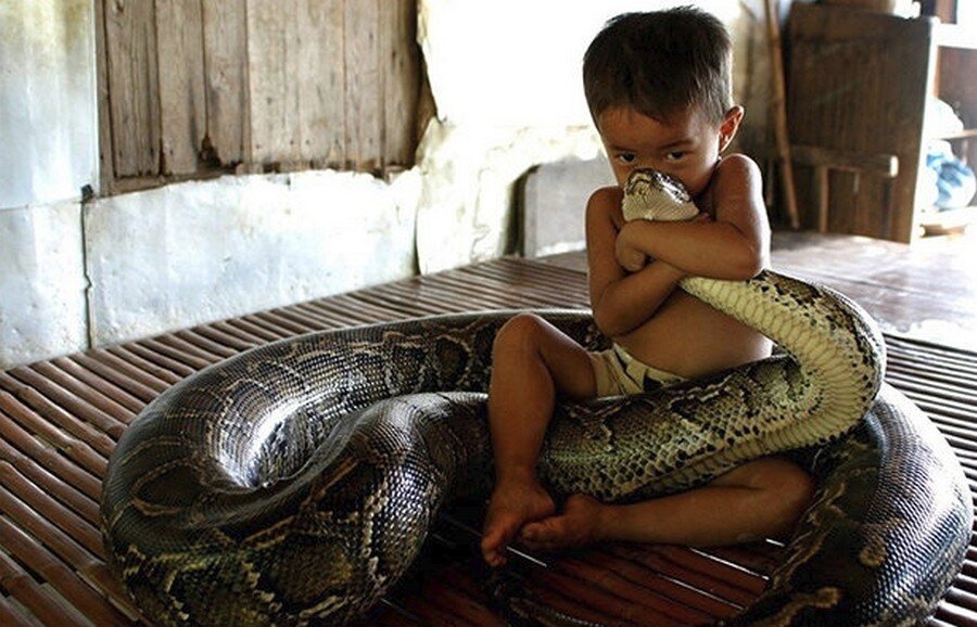 Это я со своим питоном.